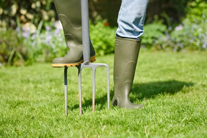 Core-aerated lawn