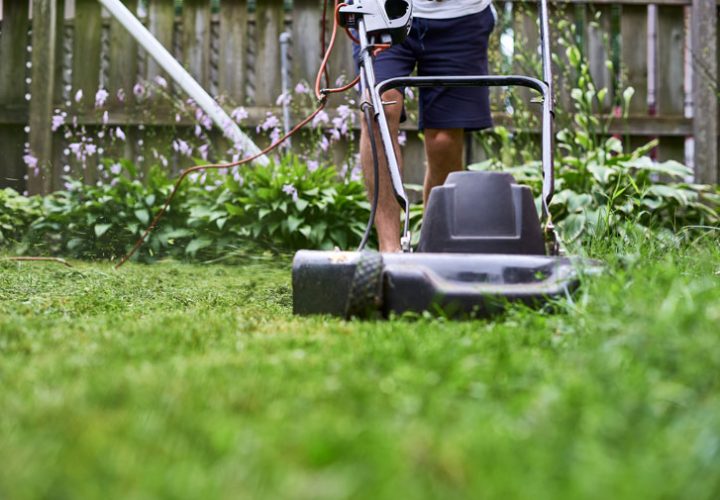 grass cutting with an electric lawn mower