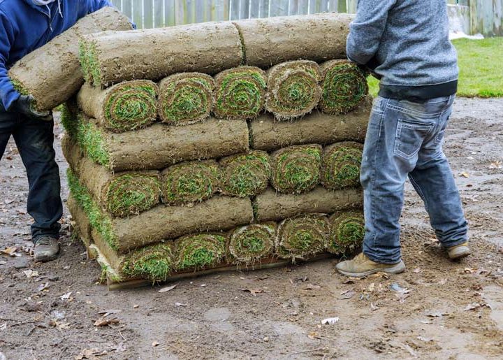 harvesting piles of sod grass used for garden and yard landscape