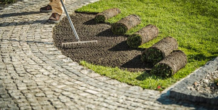 the procedures for adding sod grass next to your garden's pathway