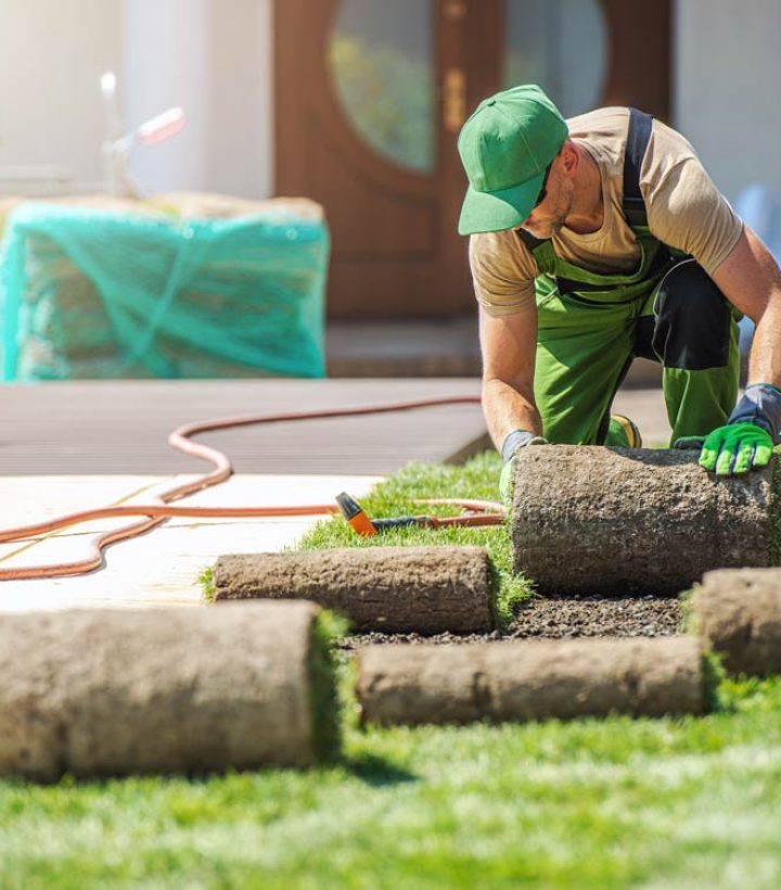 professional rolled sod grass installation services