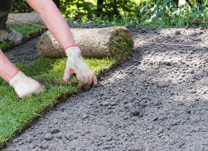installing sod grass to create a tidy and beautiful lawn