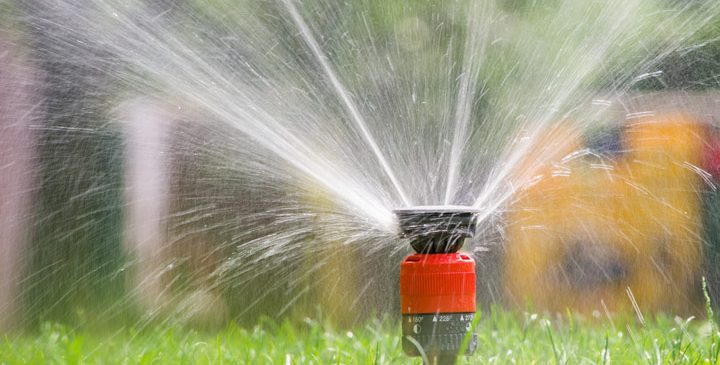 watering lawn care with sprinkler